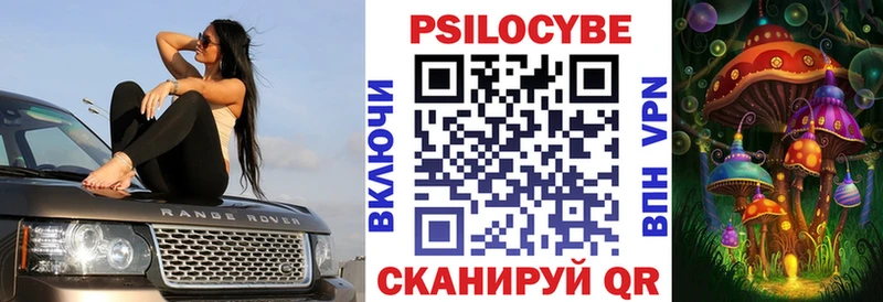 продажа наркотиков  Лахденпохья  Псилоцибиновые грибы мухоморы 